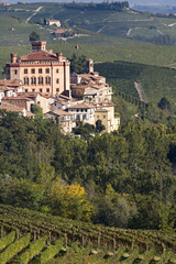 Views of the Castle of Barolo