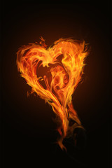 Feuer Herz