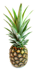 Obraz premium Pineapple