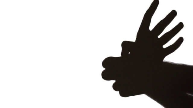 hands make shadow in form of deer or elk that runs on white