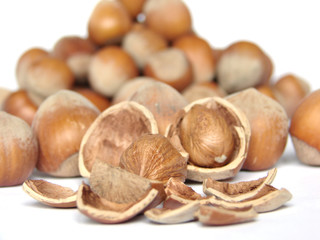 hazelnuts
