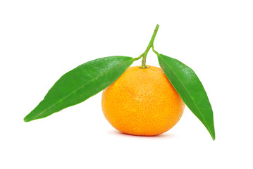 tangerine