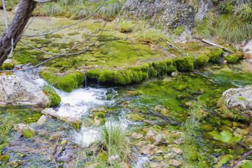 R&Iacute;O BOROSA,JA&Eacute;N