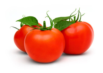 tomatoes