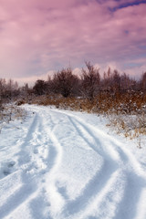 Obraz premium Winter scenery