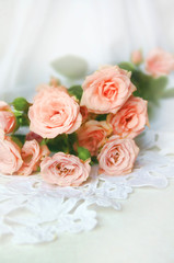 beautiful roses on a white background