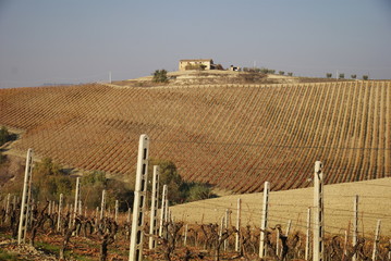 hilly region during the autumn season