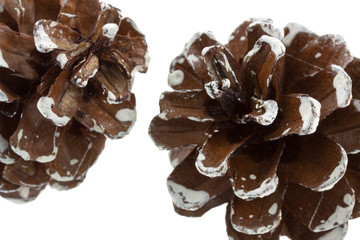 cône de pin décoration sapin