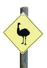 ostridge aign isolated on white background