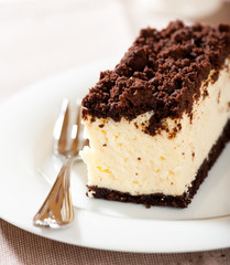 Piece of delicous freshly baked cheesecake