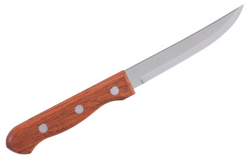 A small kitchen knife