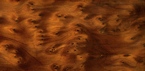 brown burl wood detail