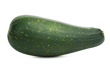 The long green zucchini