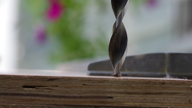 Drilling Wood