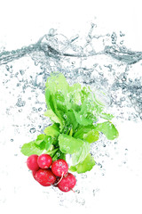 ravanelli splash