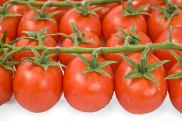 ripe tomatoes