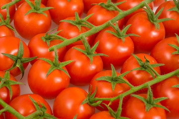 fresh ripe tomatoes cherry