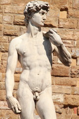 Fototapeta na wymiar Florenz, David, Michelangelo, tuscan, Italien