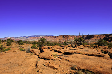 Red Rocks and Desert