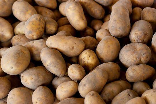 Fresh Pick Potatoes On Sale at Farmers Market