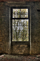 Fototapeta na wymiar Okna w opuszczonym baraku