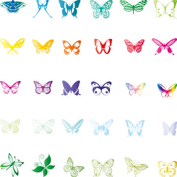 Schmetterlinge, butterflies, Insekten, insects
