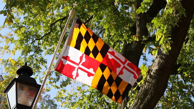 Maryland Flag