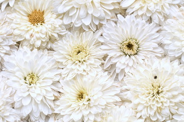 White flowers