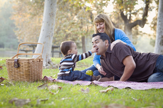 Happy Mixed Race Ethnic Family Having Picnic In The Park