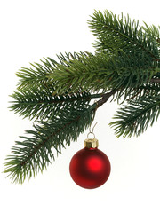 Christbaumkugel an Tannenzweig