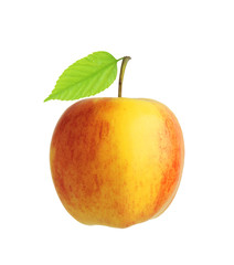 Red and yellow apple fruit with green leaf isolated on white