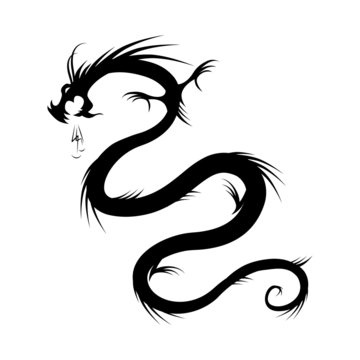 Dragon tattoo vector illustration for your design