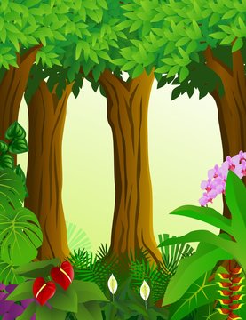 Nature forest background
