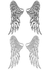 Wings