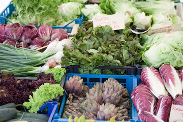 Fresh vegetarian greens in boxes at open street vegetable market