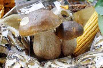 Porcini - Boletus Edilis
