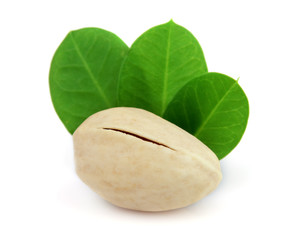 One pistachio with leaves