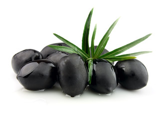 olive branch with olive oil