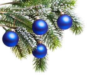 Obraz na płótnie Canvas blue New Year s balls on a snow-covered branch..
