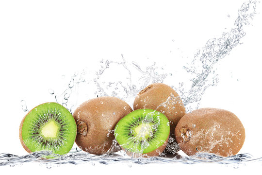 kiwi splash
