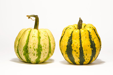 Pumpkins on white background with shadow.