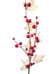 Christmas decoration with red berries and autumn leafs