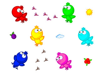 colorful birds isolated