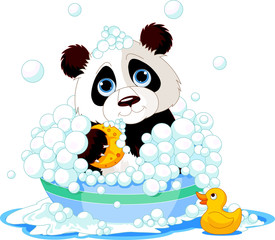 Obraz premium Panda having a bath