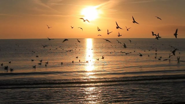 Sonnenaufgang Ostseek&uuml;ste - Sunset Baltic Sea Beach