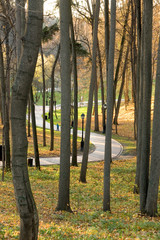 Path in sunny fall¬ day, Tsaritsyno park, Moscow, Russia