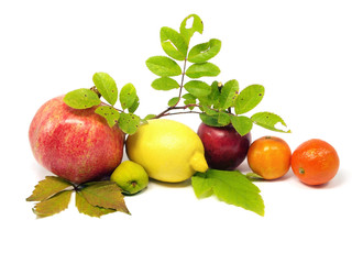 autumn still life