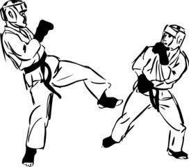 Karate Kyokushinkai sketch martial arts and combative sports