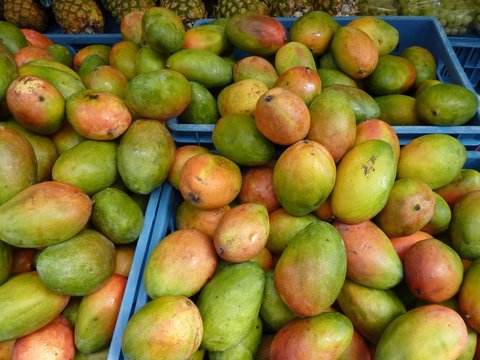 Mango fruits in boxes at the greengrocer