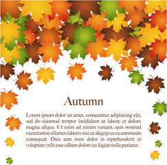 Autumn design